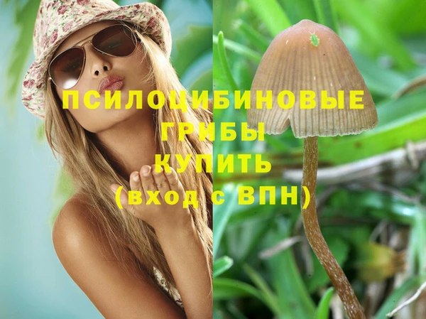 мескалин Дегтярск