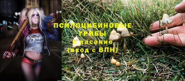 ECSTASY Абинск