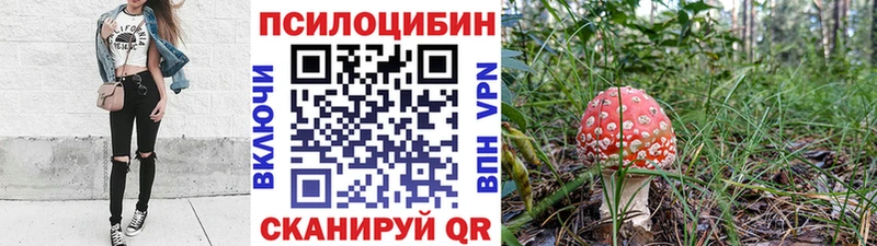 Псилоцибиновые грибы мухоморы  наркота  Вытегра 